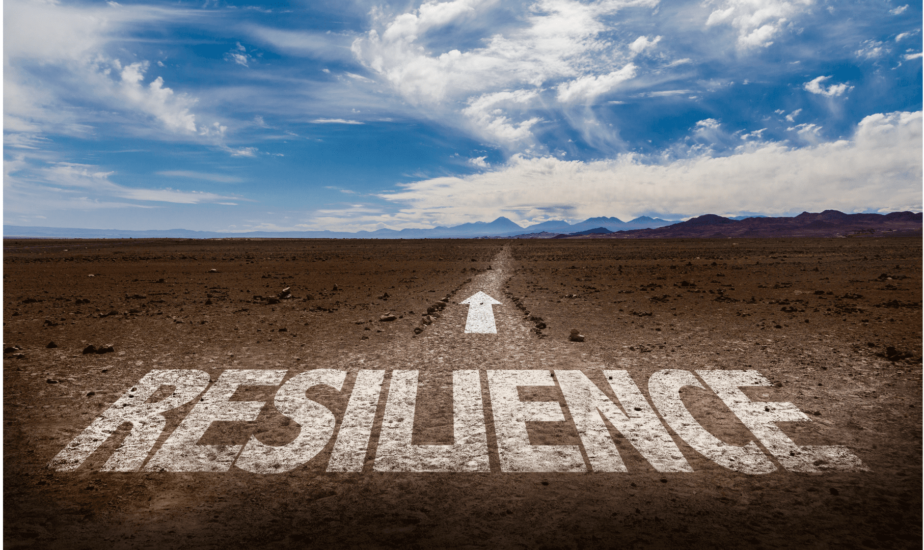 Building Cyber Resilience in Your Business